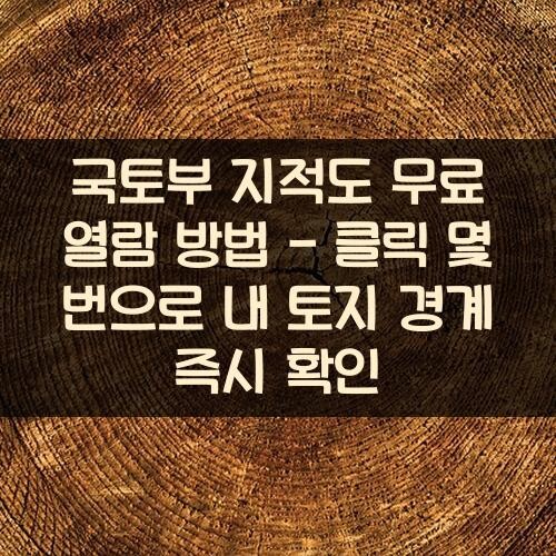 국토부 지적도 무료 열람 방법 - 클릭 몇 번으로 내 토지 경계 즉시 확인