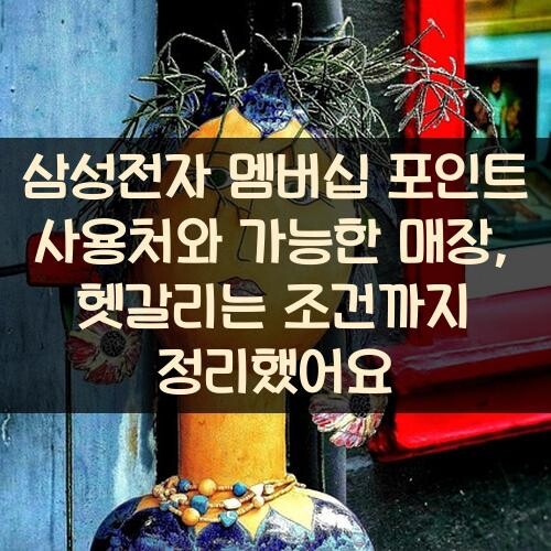 삼성전자 멤버십 포인트 사용처와 가능한 매장, 헷갈리는 조건까지 정리했어요