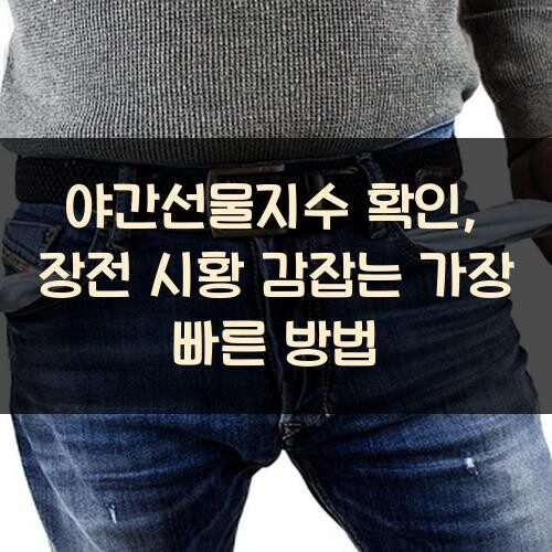 야간선물지수 확인, 장전 시황 감잡는 가장 빠른 방법