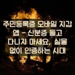 주민등록증 모바일 지갑 앱 - 신분증 들고 다니지 마세요, 실물 없이 인증하는 시대
