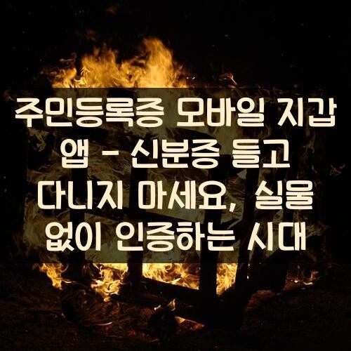 주민등록증 모바일 지갑 앱 - 신분증 들고 다니지 마세요, 실물 없이 인증하는 시대