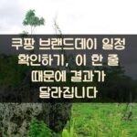 쿠팡 브랜드데이 일정 확인하기, 이 한 줄 때문에 결과가 달라집니다