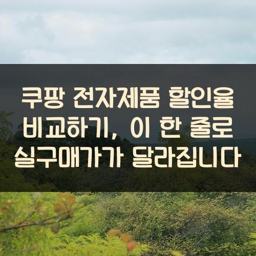 쿠팡 전자제품 할인율 비교하기, 이 한 줄로 실구매가가 달라집니다