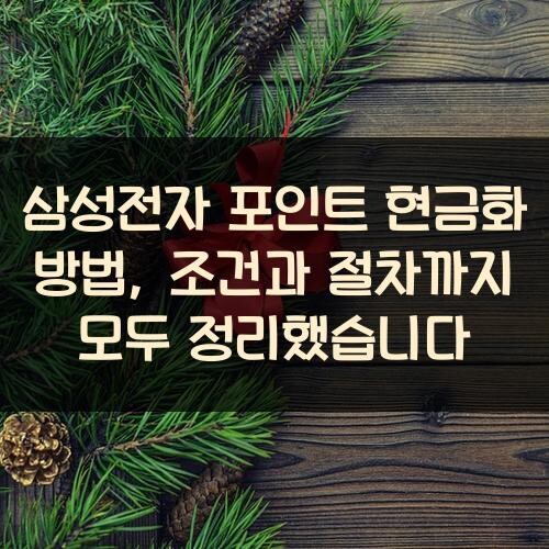 삼성전자 포인트 현금화 방법, 조건과 절차까지 모두 정리했습니다