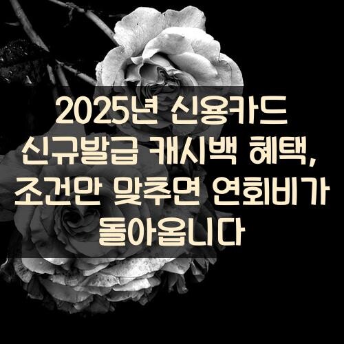 2025년 신용카드 신규발급 캐시백 혜택, 조건만 맞추면 연회비가 돌아옵니다