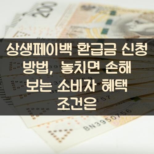 상생페이백 환급금 신청 방법, 놓치면 손해 보는 소비자 혜택 조건은?