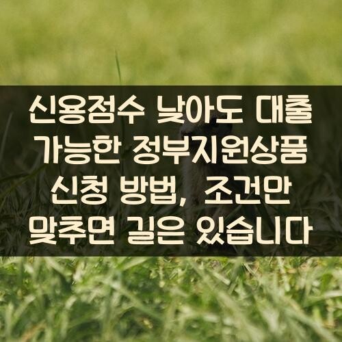 신용점수 낮아도 대출 가능한 정부지원상품 신청 방법, 조건만 맞추면 길은 있습니다