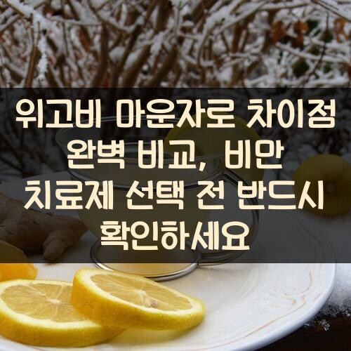 위고비 마운자로 차이점 완벽 비교, 비만 치료제 선택 전 반드시 확인하세요