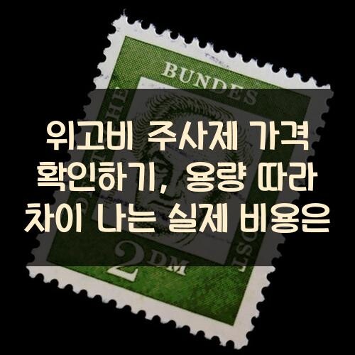 위고비 주사제 가격 확인하기, 용량 따라 차이 나는 실제 비용은?