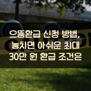 으뜸환급 신청 방법, 놓치면 아쉬운 최대 30만 원 환급 조건은?