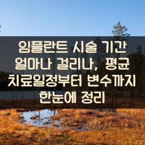 임플란트 시술 기간 얼마나 걸리나, 평균 치료일정부터 변수까지 한눈에 정리 임플란트 시술 기간 얼마나 걸리나, 평균 치료일정부터 변수까지 한눈에 정리