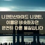 니코틴산아미드 니코틴, 이름은 비슷하지만 완전히 다른 물질입니다