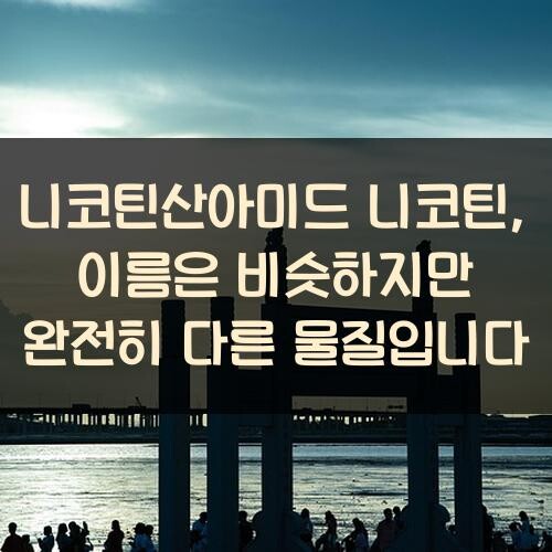 니코틴산아미드 니코틴, 이름은 비슷하지만 완전히 다른 물질입니다