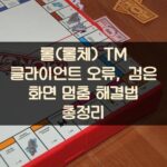 롤(롤체) TM 클라이언트 오류, 검은 화면 멈춤 해결법 총정리