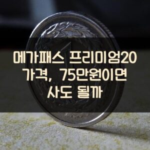 메가패스 프리미엄20 가격, 75만원이면 사도 될까?