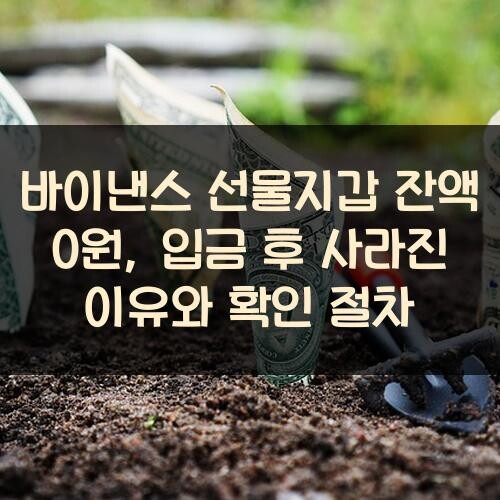 바이낸스 선물지갑 잔액 0원, 입금 후 사라진 이유와 확인 절차