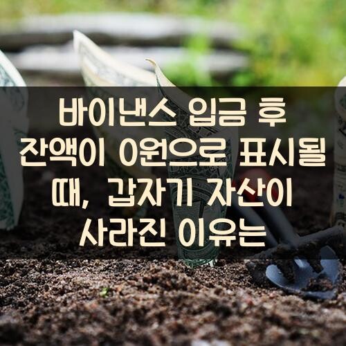바이낸스 입금 후 잔액이 0원으로 표시될 때, 갑자기 자산이 사라진 이유는?