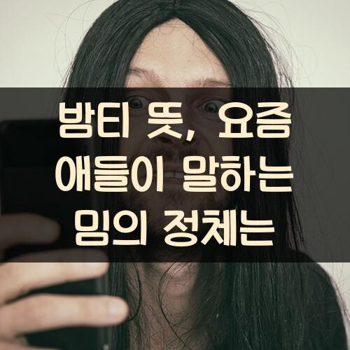 밤티 뜻, 요즘 애들이 말하는 밈의 정체는?