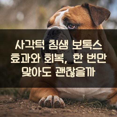 사각턱 침샘 보톡스 효과와 회복, 한 번만 맞아도 괜찮을까?