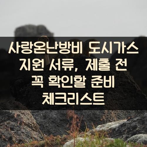 사랑온난방비 도시가스 지원 서류, 제출 전 꼭 확인할 준비 체크리스트