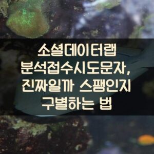 소셜데이터랩 분석접수시도문자, 진짜일까? 스팸인지 구별하는 법