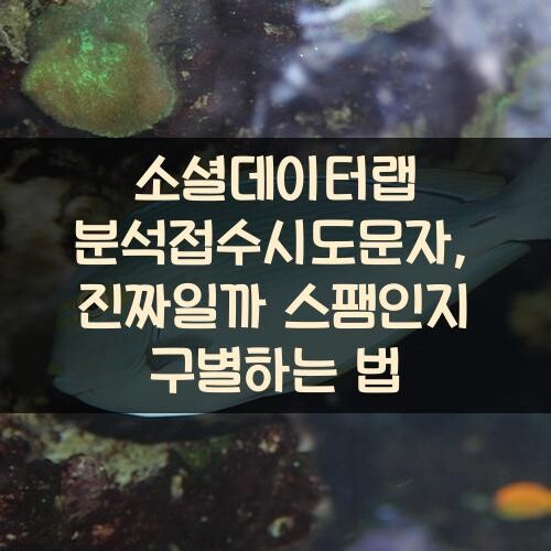소셜데이터랩 분석접수시도문자, 진짜일까? 스팸인지 구별하는 법