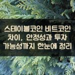 스테이블코인 비트코인 차이, 안정성과 투자 가능성까지 한눈에 정리