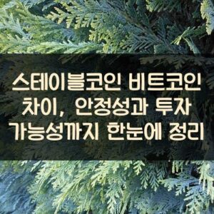 스테이블코인 비트코인 차이, 안정성과 투자 가능성까지 한눈에 정리