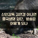 신인감독 김연경 이나연 흥국생명 입단, 방송은 어떻게 되나?