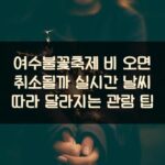 여수불꽃축제 비 오면 취소될까? 실시간 날씨 따라 달라지는 관람 팁