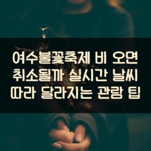 여수불꽃축제 비 오면 취소될까? 실시간 날씨 따라 달라지는 관람 팁