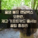 올영 블프 랜덤박스 오픈런, 재고·기프트카드·줄서는 꿀팁 총정리