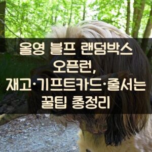 올영 블프 랜덤박스 오픈런, 재고·기프트카드·줄서는 꿀팁 총정리