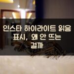 인스타 하이라이트 읽음 표시, 왜 안 뜨는 걸까?