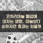 코끼리마늘 혈압에 미치는 영향, 마늘보다 순하지만 효과는 있을까?