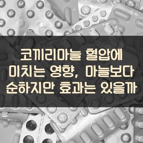 코끼리마늘 혈압에 미치는 영향, 마늘보다 순하지만 효과는 있을까?