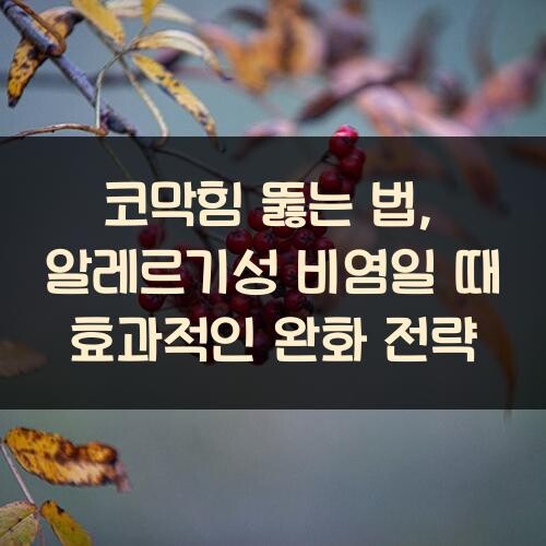 코막힘 뚫는 법, 알레르기성 비염일 때 효과적인 완화 전략