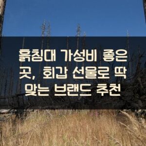 흙침대 가성비 좋은 곳, 회갑 선물로 딱 맞는 브랜드 추천