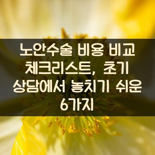 노안수술 비용 비교 체크리스트, 초기 상담에서 놓치기 쉬운 6가지