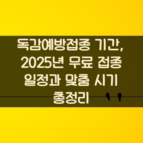 독감예방접종 기간, 2025년 무료 접종 일정과 맞춤 시기 총정리