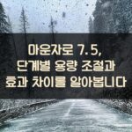 마운자로 7.5, 단계별 용량 조절과 효과 차이를 알아봅니다