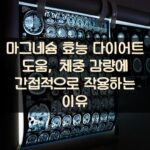 마그네슘 효능 다이어트 도움, 체중 감량에 간접적으로 작용하는 이유