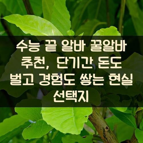 수능 끝 알바 꿀알바 추천, 단기간 돈도 벌고 경험도 쌓는 현실 선택지