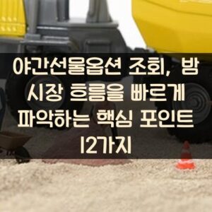 야간선물옵션 조회, 밤 시장 흐름을 빠르게 파악하는 핵심 포인트 12가지