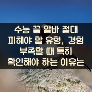 수능 끝 알바 절대 피해야 할 유형, 경험 부족할 때 특히 확인해야 하는 이유는? 수능 끝 알바 절대 피해야 할 유형, 경험 부족할 때 특히 확인해야 하는 이유는?