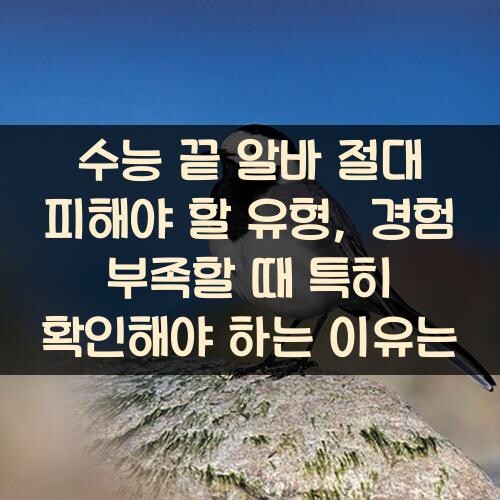 수능 끝 알바 절대 피해야 할 유형, 경험 부족할 때 특히 확인해야 하는 이유는?