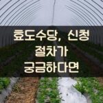 효도수당, 신청 절차가 궁금하다면?