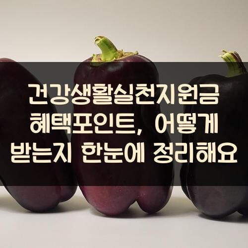 건강생활실천지원금 혜택포인트, 어떻게 받는지 한눈에 정리해요