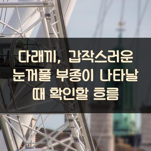 다래끼, 갑작스러운 눈꺼풀 부종이 나타날 때 확인할 흐름