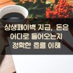 상생페이백 지급, 돈은 어디로 들어오는지 정확한 흐름 이해